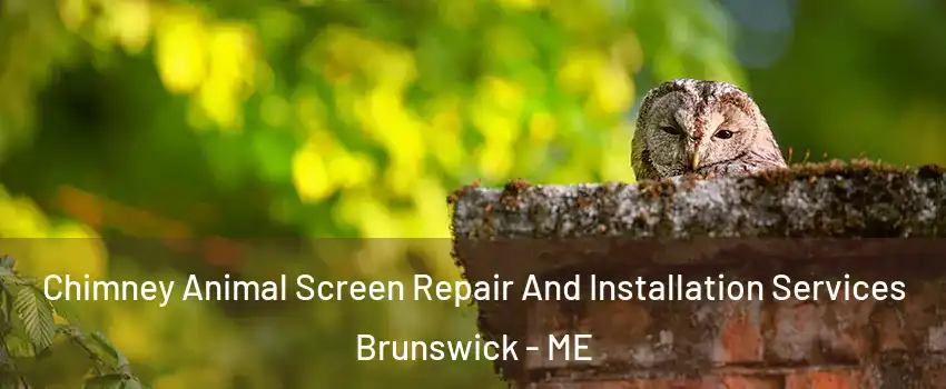  Chimney Animal Screen Repair And Installation Services Brunswick - ME