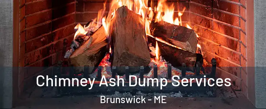  Chimney Ash Dump Services Brunswick - ME