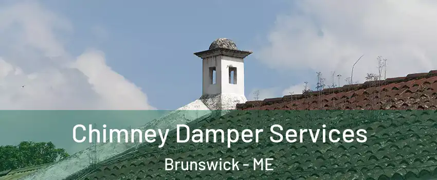  Chimney Damper Services Brunswick - ME