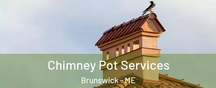  Chimney Pot Services Brunswick - ME