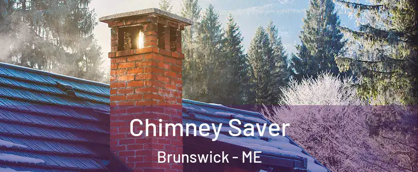 Chimney Saver Brunswick - ME