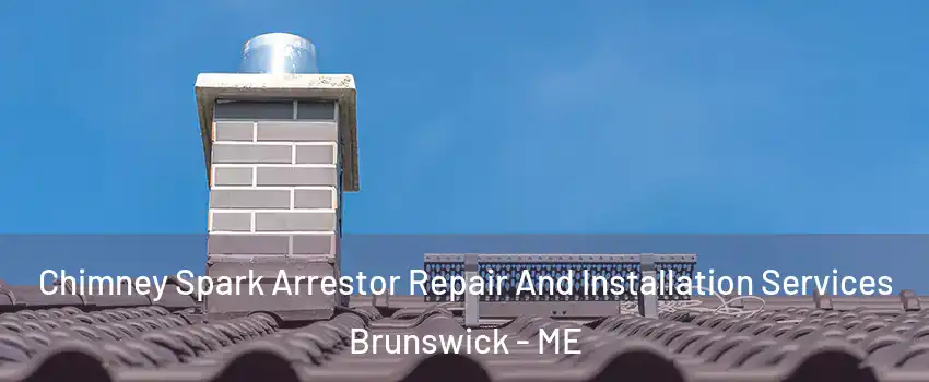  Chimney Spark Arrestor Repair And Installation Services Brunswick - ME