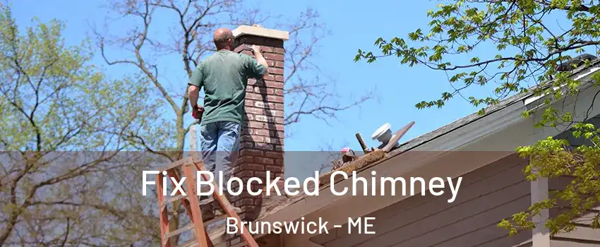  Fix Blocked Chimney Brunswick - ME