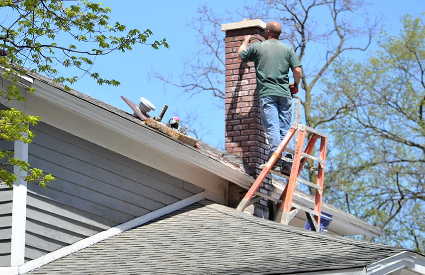 Chimney & Fireplace Inspections Services in Brunswick, ME