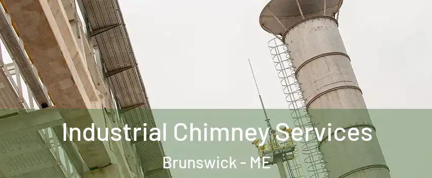  Industrial Chimney Services Brunswick - ME