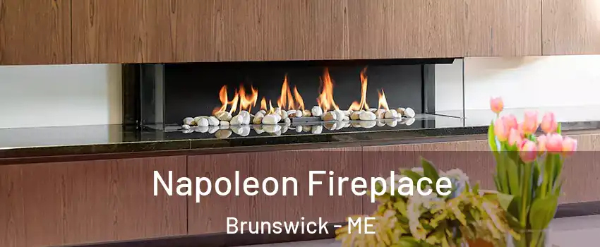  Napoleon Fireplace Brunswick - ME